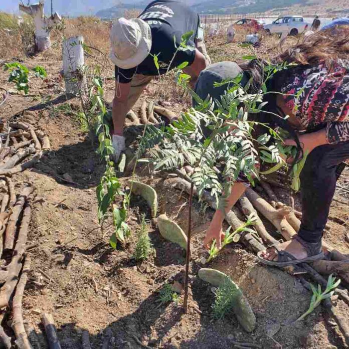 Realizarán capacitaciones en Agricultura Regenerativa para productores de Cabildo y Petorca