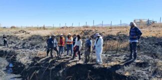 SAG realiza evaluación en terreno tras incendio forestal que amenaza hábitat de la Ranita del Loa