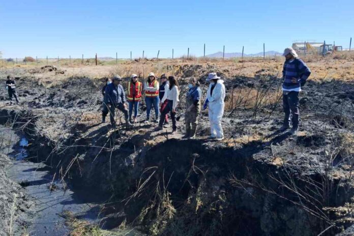 SAG realiza evaluación en terreno tras incendio forestal que amenaza hábitat de la Ranita del Loa