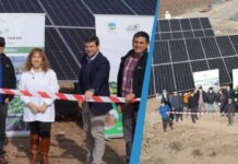 Viveros El Tambo inaugura planta solar de Copec Flux para producir energía