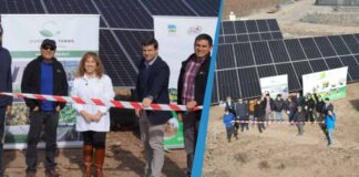 Viveros El Tambo inaugura planta solar de Copec Flux para producir energía