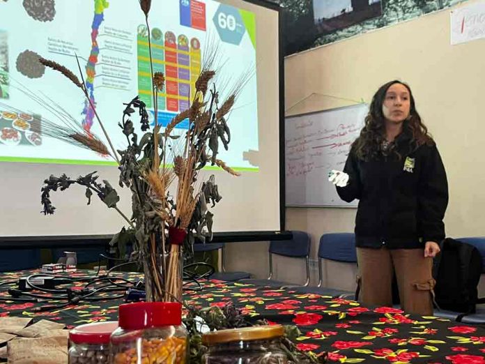 Campesinos de Limarí aprenden metodologías para multiplicar semillas antiguas de variedades tradicionales