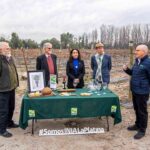 Científicos de INIA La Platina recuerdan cómo identificaron genéticamente a Carmenère, la cepa del vino premiado a nivel mundial