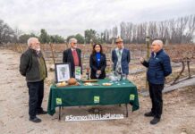 Científicos de INIA La Platina recuerdan cómo identificaron genéticamente a Carmenère, la cepa del vino premiado a nivel mundial