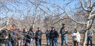 Chilenut celebra exitosa reanudación de sus días de campo