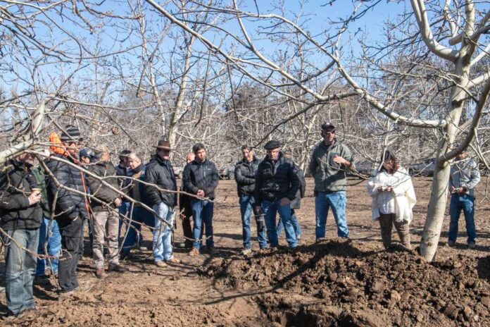 Chilenut celebra exitosa reanudación de sus días de campo