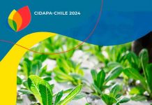 El seminario internacional de plásticos en la agricultura cidapa chile 2024 se realizará por primera vez en la ciudad de ñuble, del 03 al 04 de octubre de 2024