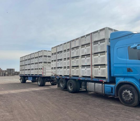 Bins para el agro de Agrobins: Soluciones para la industria Agrofrutícola