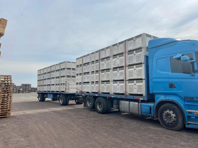 Bins para el agro de Agrobins: Soluciones para la industria Agrofrutícola