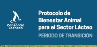 Comité de Bienestar Animal del Consorcio Lechero: presentan Protocolo de Bienestar Animal para período de transición en vacas lecheras