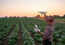 El IICA selecciona 16 agtechs de 14 países de las Américas que participarán en forma presencial en la Semana de la Agricultura Digital 2024