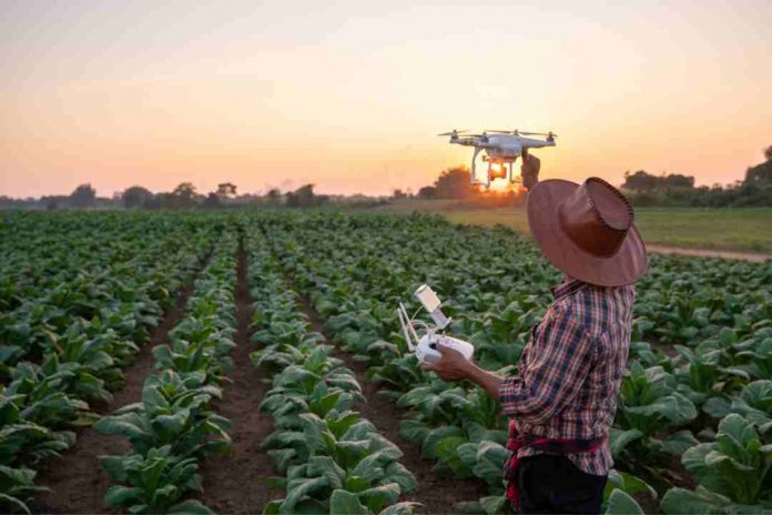 El IICA selecciona 16 agtechs de 14 países de las Américas que participarán en forma presencial en la Semana de la Agricultura Digital 2024