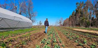 Futuro campesino: el retorno de la juventud rural a sus raíces