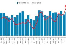 INE Biobío publica cifras de molienda de trigo correspondiente a julio de 2024