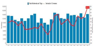 INE Biobío publica cifras de molienda de trigo correspondiente a julio de 2024