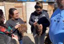 Lanzan en Coquimbo proyecto que busca aprovechar residuos de algas en la agricultura 