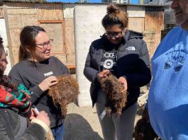 Lanzan en Coquimbo proyecto que busca aprovechar residuos de algas en la agricultura 