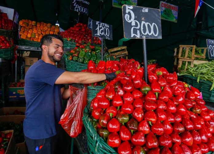 Ministerio de Agricultura realiza positivo balance de Fiestas Patrias y anticipa buena temporada de frutas