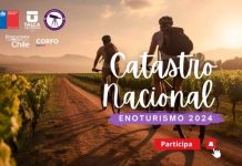 Participa en el 4to Catastro Nacional de Enoturismo Chile: ¡Sé parte del desarrollo estratégico del sector!
