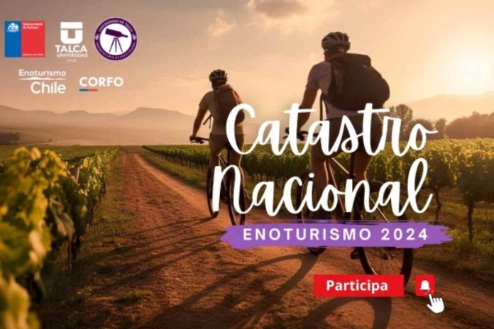 Participa en el 4to Catastro Nacional de Enoturismo Chile: ¡Sé parte del desarrollo estratégico del sector!