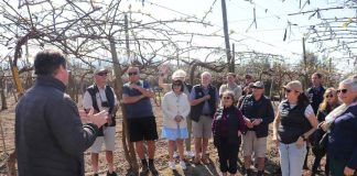 Productores neozelandeses de kiwis de Zespri visitan Chile y su industria del kiwi