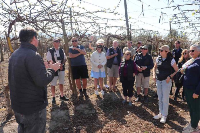 Productores neozelandeses de kiwis de Zespri visitan Chile y su industria del kiwi