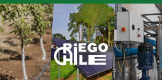 RiegoChile, líder en sistemas de riego de alta tecnología, impulsa la innovación en la agricultura chilena.