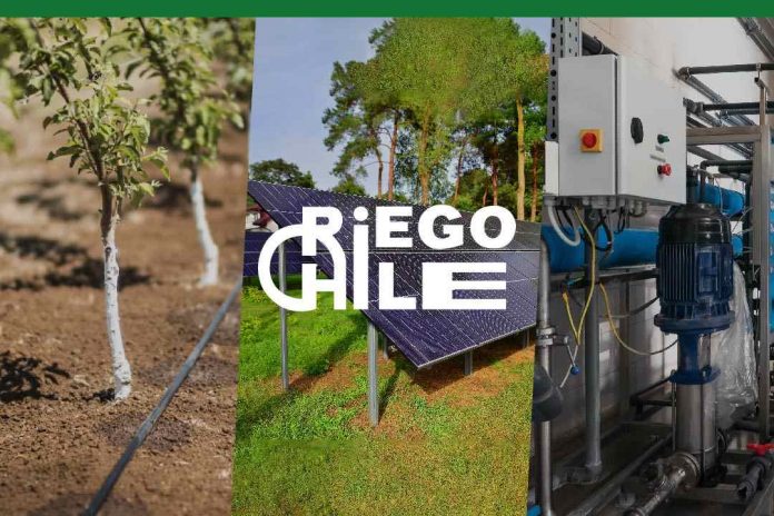 RiegoChile, líder en sistemas de riego de alta tecnología, impulsa la innovación en la agricultura chilena.