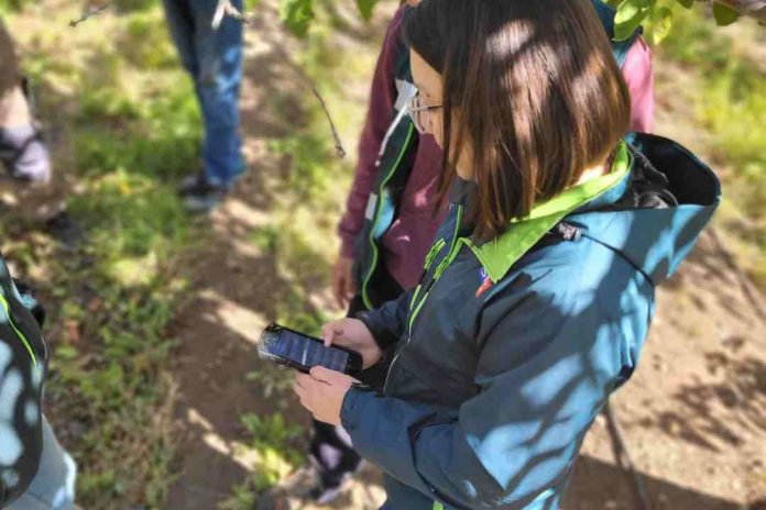 SAG implementa digitalización que disminuye hasta un 80% los tiempos en vigilancias fitosanitarias