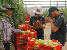 SAG superó las 50.000 fiscalizaciones en 2023 para resguardar la seguridad sanitaria y el comercio silvoagropecuario