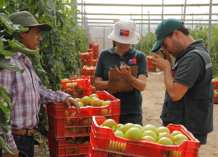 SAG superó las 50.000 fiscalizaciones en 2023 para resguardar la seguridad sanitaria y el comercio silvoagropecuario