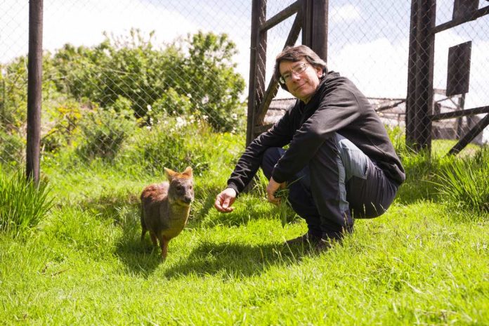 Se abren las postulaciones para encontrar a los Nuevos Héroes que sucederán al “Doctor Pudú”