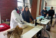 Técnicos, docentes y estudiantes se capacitan en producción de insectos benéficos para la agricultura