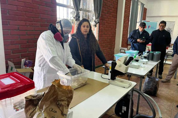 Técnicos, docentes y estudiantes se capacitan en producción de insectos benéficos para la agricultura