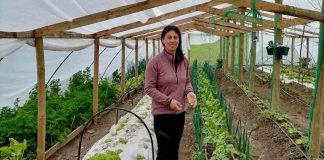 Agricultores del Prodesal Indap Laja mejoran su producción de hortalizas y berries con humus de lombriz