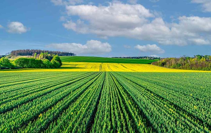 Agroseguros revitaliza su trabajo con una nueva identidad de marca