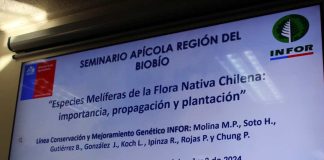 Apicultores del Biobío fueron parte de seminario para conocer implicancias de la nueva Ley y Reglamento Apícola