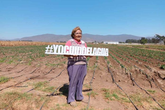 CNR invita a pequeños agricultores del Norte Chico a postular a concurso de la Ley de Riego para proyectos no seleccionados