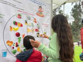 CREAS impulsa la ciencia y la alimentación saludable en el Cierre del Festival de la Ciencia en Viña del Mar