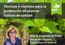 Capacitación Online de Viveros de Chile: Técnicas y Manejos para la Producción de Plantas Nativas de Calidad