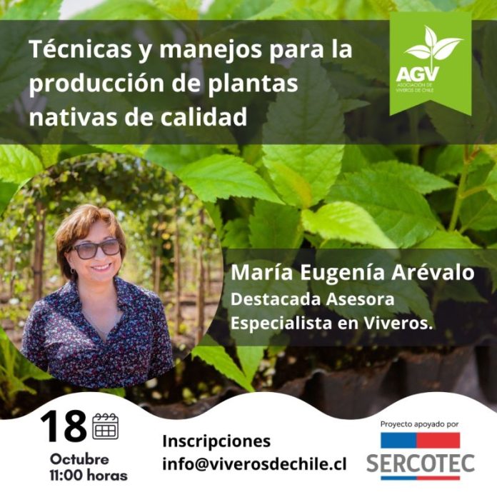 Capacitación Online de Viveros de Chile: Técnicas y Manejos para la Producción de Plantas Nativas de Calidad