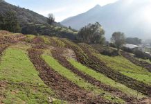 Centro Ceres desarrolla diseño hidrológico para captura y almacenamiento de agua en sistemas agrícolas de secano