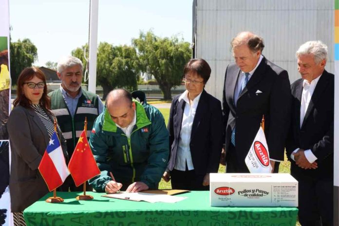 Chile retoma con fuerza exportaciones de carnes de ave tras reapertura de mercado chino