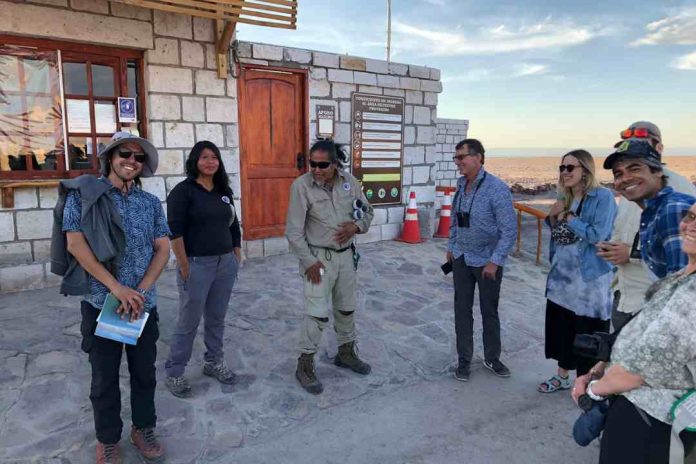 Chilenos son pioneros en el estudio de comunidades microbianas en el Desierto de Atacama que explican el origen de la vida en el mundo