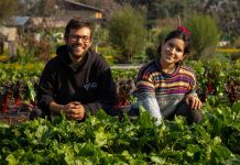 De Huerta a la Raíz: Se conocieron en Australia y volvieron juntos a Chile para producir hortalizas agroecológicas De Huerta a la Raíz: Se conocieron en Australia y volvieron juntos a Chile para producir hortalizas agroecológicas