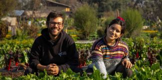 De Huerta a la Raíz: Se conocieron en Australia y volvieron juntos a Chile para producir hortalizas agroecológicas