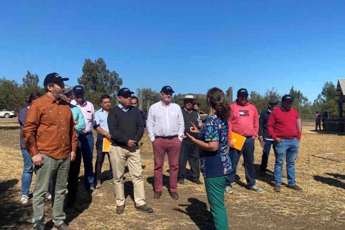 Estudio refleja el impacto del PTI AgroTerritorio de Corfo en el desarrollo agropecuario del Secano Costero de O´Higgins