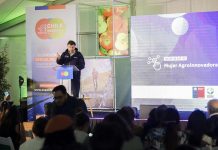 Expo Chile Agrícola 2024 cierra con más de 40 mil visitas durante sus dos jornadas