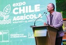 Falta poco para Expo Chile Agrícola ¡Inscríbete en el encuentro de capacitación gratuita más grande del país!