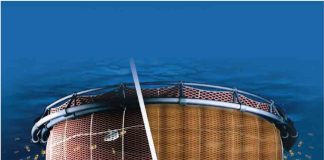 Garware Caligidosis abstracto científico